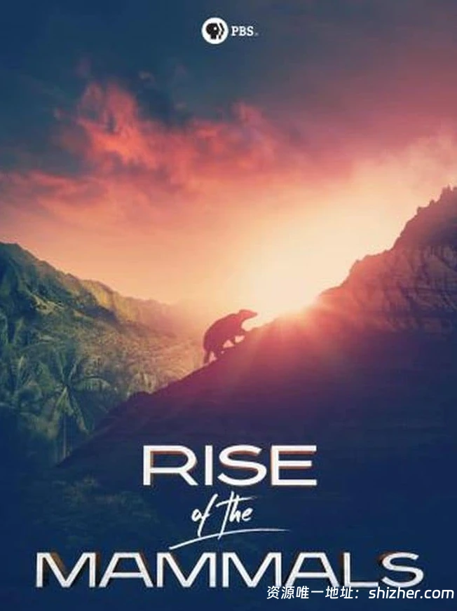 PBS纪录片《哺乳动物的崛起 Rise of the Mammals 2019》 英语中英双 字 无水印纯净版 1080P/MKV/2.53G 哺乳动物