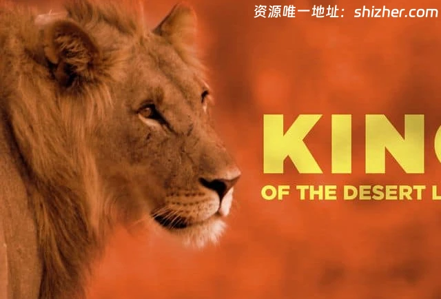 美国纪录片《沙漠狮王 King of the Desert Lions 2018》 英语中英双字 无水印纯净版 1080P/MKV/2.71G 沙漠狮王