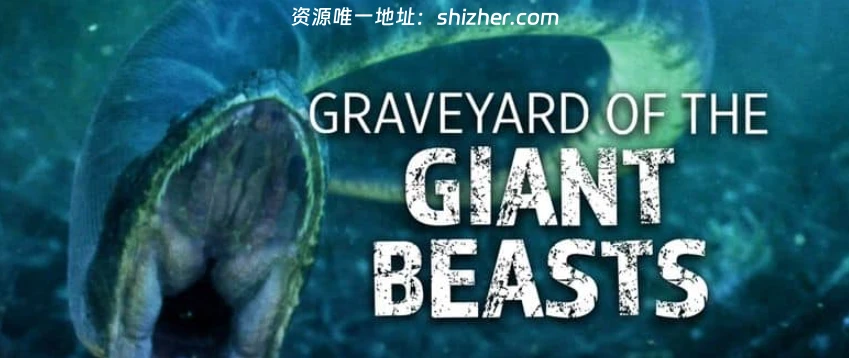 PBS纪录片《巨兽墓地 Graveyard of the Giant Beasts 2016》英语中英 双字 无水印纯净版 1080P/MKV/4.53G 动物化石宝库