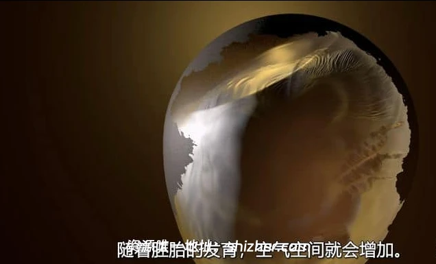 PBS纪录片《蛋: 大自然的完美发明 The Egg: Life's Perfect Invention 2019》英语中英双字 无水印纯净版 1080P/MKV/2.3G 卵生揭秘