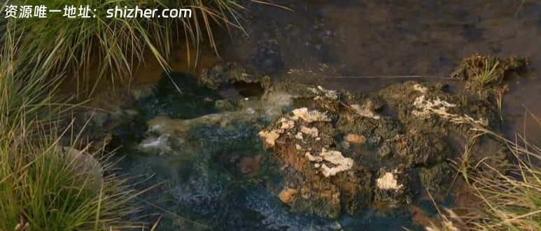 美国纪录片《灰冰中的生命 Life From Ash lce 2013》英语中英双字 无 水印纯净版 1080P/MKV/2.29G 冰川下的火山生命