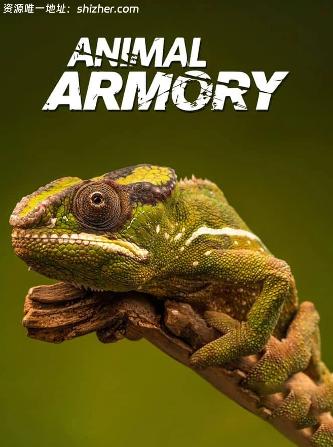 美国纪录片《动物军火库 Animal Armory 2016》全6集 英语中英双字 无水印纯净版 1080P/MKV/21.6G 动物自卫术