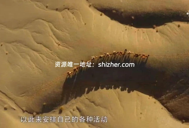 央视纪录片《古代时间简史 2025》全6集 国语中字 1080P/MP4/1.44G 古代中国天文计时