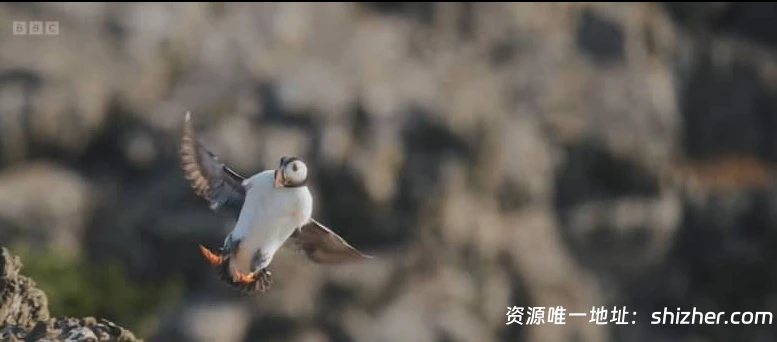 BBC纪录片《走进英国国家公园 Inside Britain's National Parks 2026》 全4集 英语中英双字 无水印纯净版 1080P/MKV/4.6G 英国国家公园