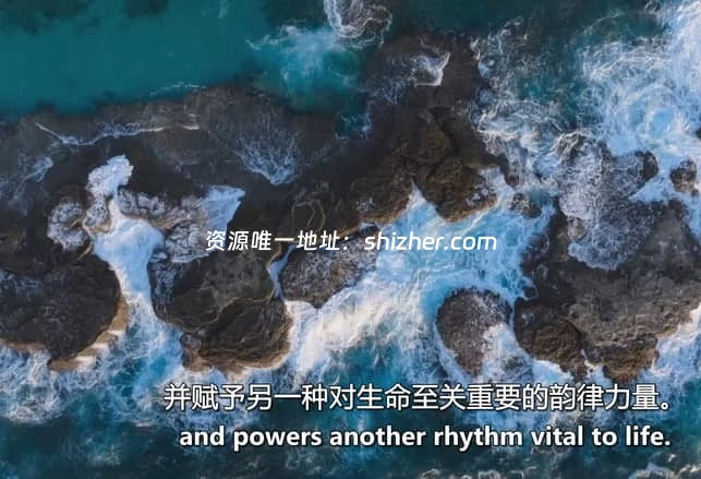 Sky纪录片《月球: 大自然的神秘力量 Moon: Nature's Secret Force 2025》全3集 英语中英双字 无水印纯净版 1080P/MKV/3.31G 月球对地球的影响