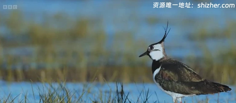BBC纪录片《走进英国国家公园 Inside Britain's National Parks 2026》 全4集 英语中英双字 无水印纯净版 1080P/MKV/4.6G 英国国家公园