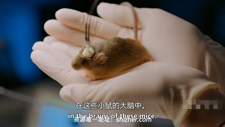 PBS纪录片《记忆黑客 Memory Hackers 2016》英语中英双字 无水印纯 净版 1080P/MKV/2.82G 探索记忆