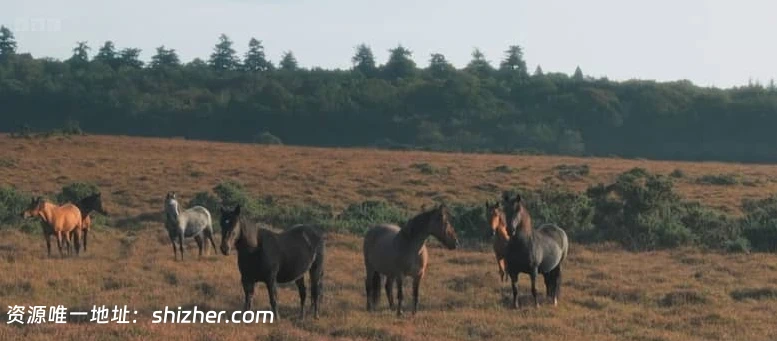 BBC纪录片《走进英国国家公园 Inside Britain's National Parks 2026》 全4集 英语中英双字 无水印纯净版 1080P/MKV/4.6G 英国国家公园
