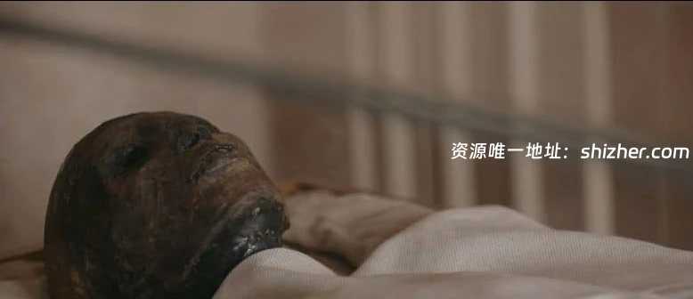ARTE纪录片《埃及法老图坦卡门的宝藏 The True Story Of King Tut's Treasure 2019》英语中英双字 无水印纯净版 1080P/MKV/1.33G 法老 的宝藏
