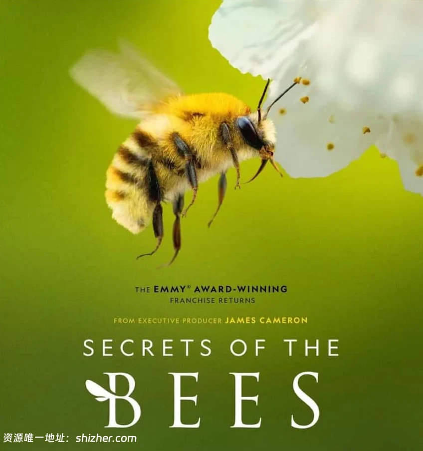 国家地理 《蜜蜂的秘密 Secrets of the Bees 2026》全2集 英语多国字幕 无水印纯净版 1080P/MKV/4.7G 蜜蜂之谜