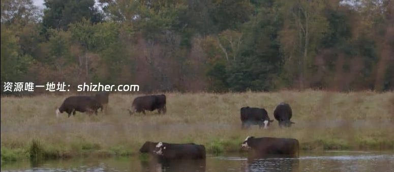 PBS纪录片《污染: 地毯行业的有毒遗产 Contaminated: The Carpet Industry's Toxic Legacy 2026》英语中英双字 无水印纯净版 1080P/MKV/838M PFAS污染