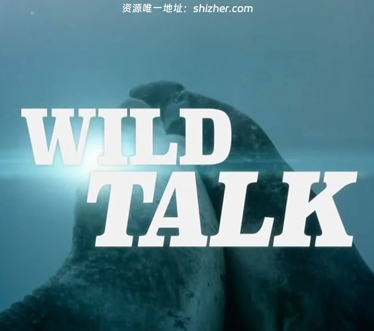 BBC纪录片《动物间的沟通 Conaltradh Creutairean/Wild Talk 2026》 全5集 英语英字 无水印纯净版 1080P/MKV/5G 动物的交流
