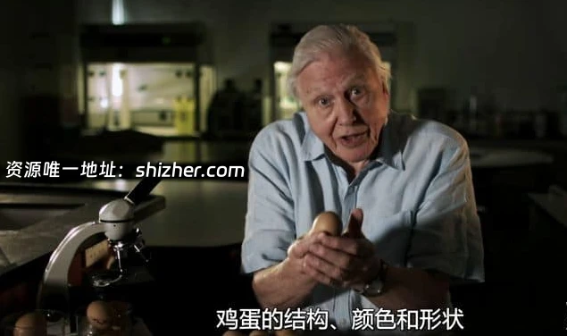 PBS纪录片《蛋: 大自然的完美发明 The Egg: Life's Perfect Invention 2019》英语中英双字 无水印纯净版 1080P/MKV/2.3G 卵生揭秘