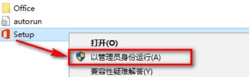 Project 安装合集