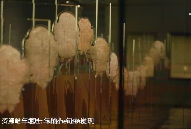 央视纪录片《古代时间简史 2025》全6集 国语中字 1080P/MP4/1.44G 古代中国天文计时