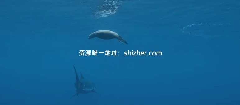 美国纪录片《狂野太平洋 The wild Pacific 2016》英语中英双字 无水印 纯净版 1080P/MKV/4.81G 太平洋生态