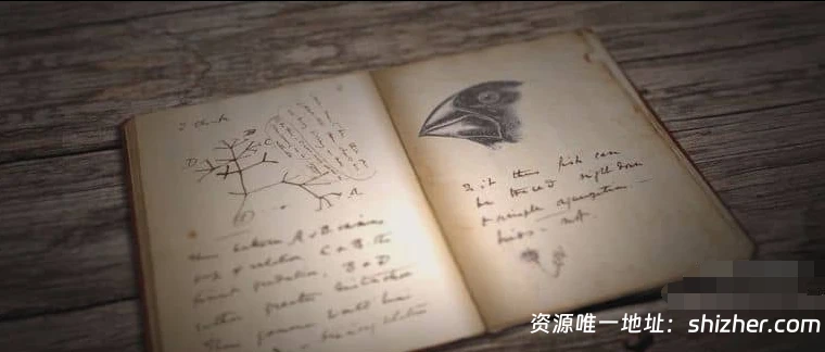 美国纪录片《解构进化论: 科学与起源之争 Dismantled: A Scientific Deconstruction of The Theory of Evolution 2020》英语无字无水印纯 净版 1080P/MKV/1.56G 进化论的争议