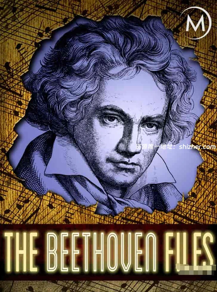 英国纪录片《贝多芬的遗书 The Beethoven Files 2014》英语中英双字 无水印纯净版 1080P/MKV/1.75G 贝多芬档案