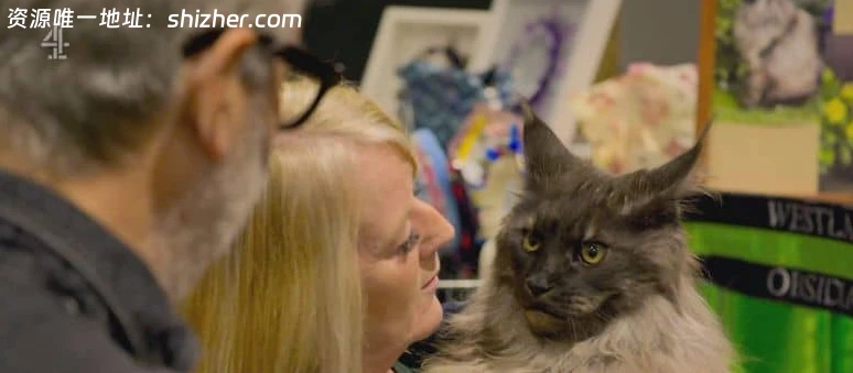 CH4纪录片《大卫·巴迪尔: 猫之人 David Baddiel: Cat Man 2026》 全3 集 英语中英双字 无水印纯净版 1080P/MKV/2.16G 人猫感情