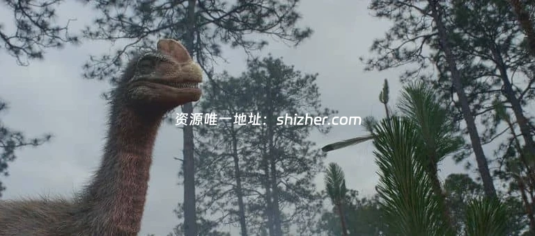 法国纪录片《新史前史 A New Prehistory 2016》全3集 英语中英双字 无水印纯净版 1080P/MKV/6.32G 史前文明