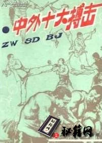 [武功秘籍][中外十大搏击].王洁.扫描版.pdf