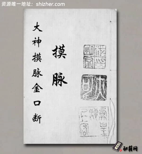 《大神摸脉金口诀》