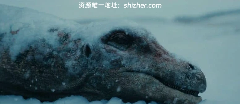 NHK纪录片《恐龙超世界2 Amazing Dinoworld 2 2023》全6集 英语中 字 无水印纯净版 1080P/MP4/4.83G 恐龙纪录片