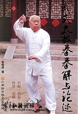 武式太极拳拳解与论述 电子书下载