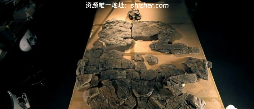 PBS纪录片《巨兽墓地 Graveyard of the Giant Beasts 2016》英语中英 双字 无水印纯净版 1080P/MKV/4.53G 动物化石宝库