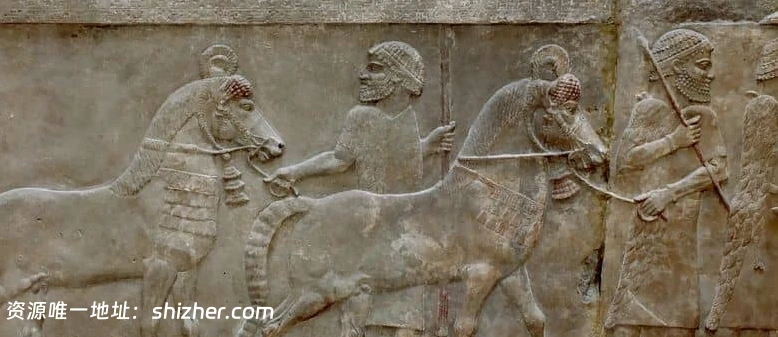 史密森尼频道《解锁历史谜团 Secrets Unlocked 2020》第一季全26集 英语中英双字 无水印纯净版 1080P/MKV/26.7G 历史真相