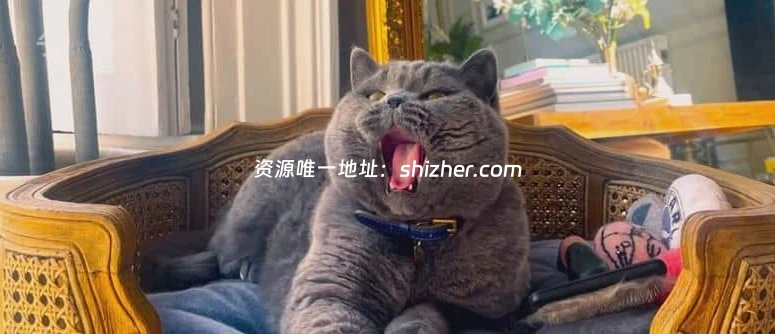 CH4纪录片《大卫·巴迪尔: 猫之人 David Baddiel: Cat Man 2026》 全3 集 英语中英双字 无水印纯净版 1080P/MKV/2.16G 人猫感情