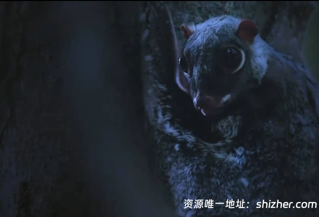 Sky纪录片《月球: 大自然的神秘力量 Moon: Nature's Secret Force 2025》全3集 英语中英双字 无水印纯净版 1080P/MKV/3.31G 月球对地球的影响