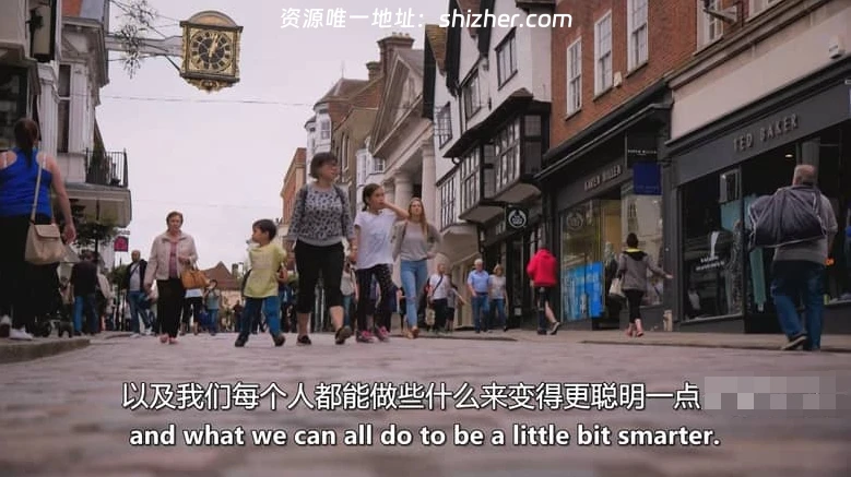 BBC纪录片《英国全民智力大测试 The Great British Intelligence Test 2020》英语中英双字 无水印纯净版 1080P/MKV/865M 智力大测试