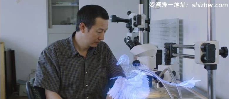 法国纪录片《新史前史 A New Prehistory 2016》全3集 英语中英双字 无水印纯净版 1080P/MKV/6.32G 史前文明