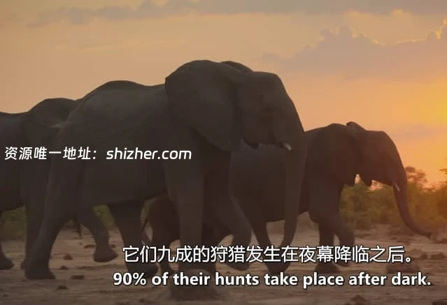 Sky纪录片《月球: 大自然的神秘力量 Moon: Nature's Secret Force 2025》全3集 英语中英双字 无水印纯净版 1080P/MKV/3.31G 月球对地球的影响