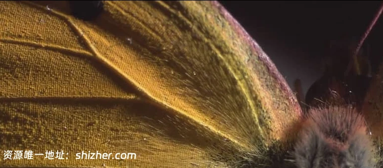 美国纪录片《光的界限 Limits of Light 2011》英语中英双字 无水印纯净 版 1080P/MKV/2.8G 光学探索