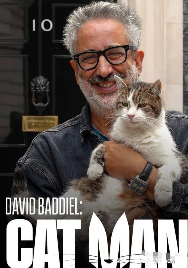 CH4纪录片《大卫·巴迪尔: 猫之人 David Baddiel: Cat Man 2026》 全3 集 英语中英双字 无水印纯净版 1080P/MKV/2.16G 人猫感情