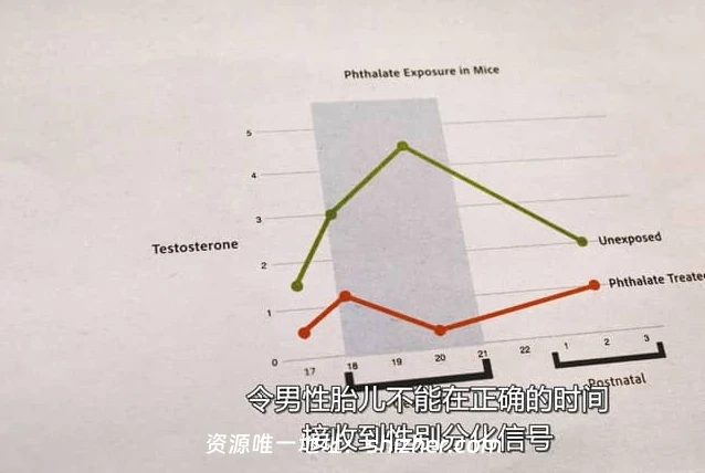 Netflix纪录片《排出毒素: 微塑料威胁自救指南 The Plastic Detox 2026》英语多国字幕 无水印纯净版 1080P/MKV/3.5G 塑料威胁