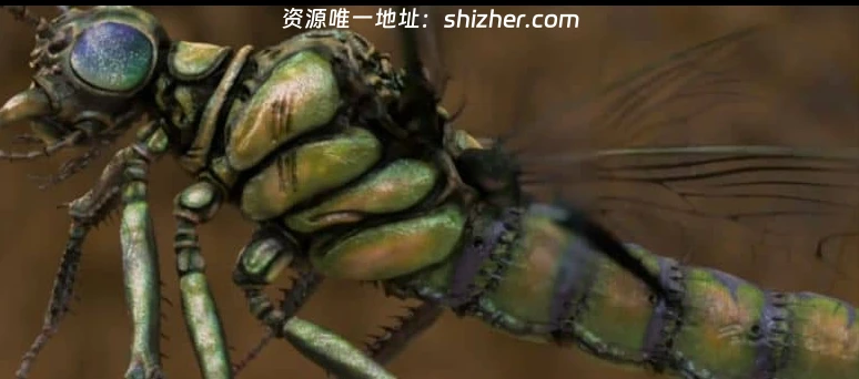 法国纪录片《新史前史 A New Prehistory 2016》全3集 英语中英双字 无水印纯净版 1080P/MKV/6.32G 史前文明