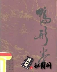 [武功秘籍]鸭形拳.pdf