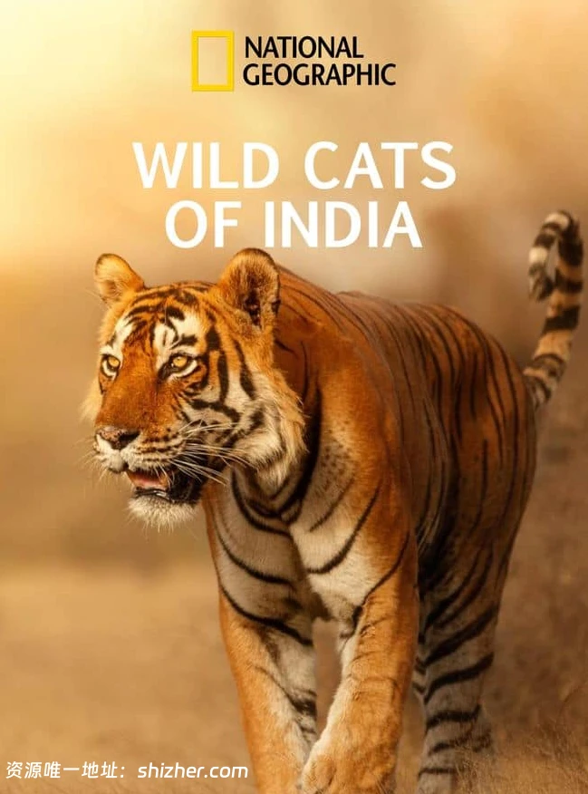 国家地理《印度狂野大猫 Wild Cats of India 2020》全2集 英语多国字幕 无水印纯净版 1080P/MKV/5.4G 印度猫科动物