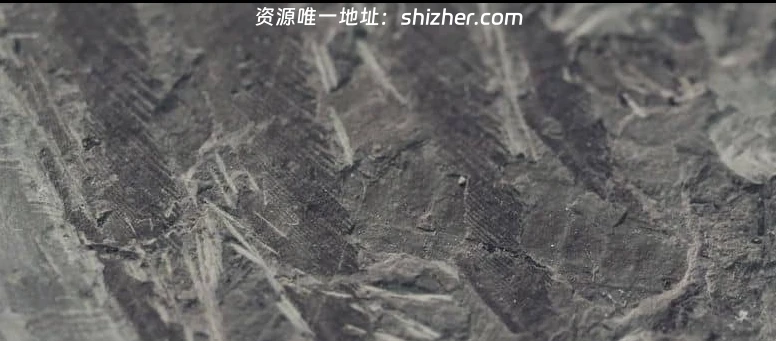 法国纪录片《新史前史 A New Prehistory 2016》全3集 英语中英双字 无水印纯净版 1080P/MKV/6.32G 史前文明