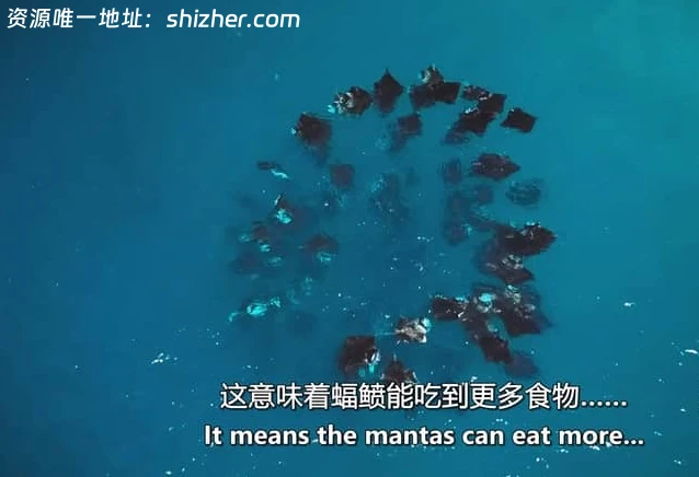 Sky纪录片《月球: 大自然的神秘力量 Moon: Nature's Secret Force 2025》全3集 英语中英双字 无水印纯净版 1080P/MKV/3.31G 月球对地球的影响