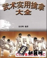 [武术实用擒拿大全].安在峰.pdf  擒拿是武术踢、打、摔、拿四大技法之一