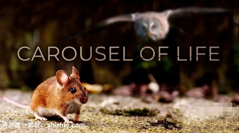 美国纪录片《生命的旋转木马 Carousel of Life》英语中英双字 无水印纯 净版 1080P/MKV/5.04G 果园生态系统