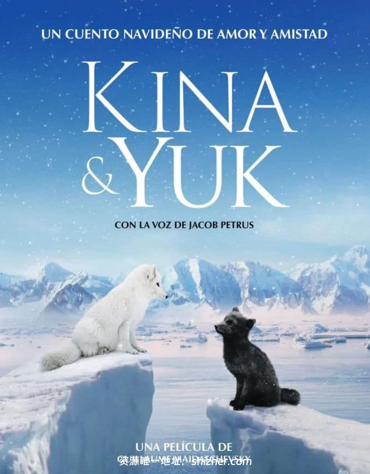 法国纪录片《北极小迷狐吉娜&尤克 Kina & Yuk 2023》国语中字 无水 印纯净版 1080P/MKV/4.45G 北极自然奇观