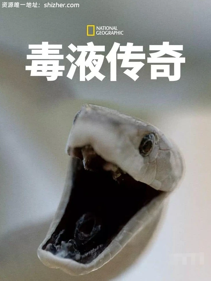 国家地理《毒液传奇 Legends of Venom 2023》第一季全3集 英语中英 双字 无水印纯净版 4K超清/2160P/MKV/18.4G 蛇类纪录片