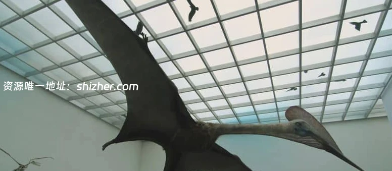 法国纪录片《新史前史 A New Prehistory 2016》全3集 英语中英双字 无水印纯净版 1080P/MKV/6.32G 史前文明