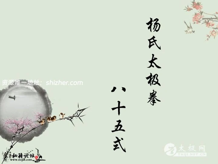 杨式太极拳拳谱拳架分动作图解(85式完整版)