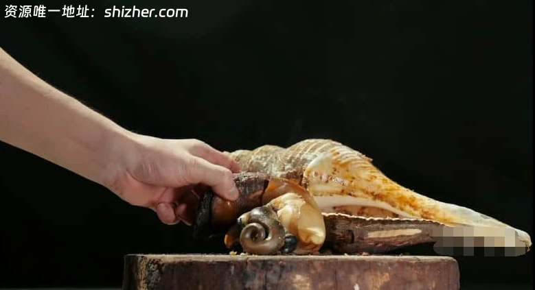 国产纪录片《野火“烤”不尽 2024》全6集 国语中字 4K超 清/2160P/MP4/4.75G 烧烤美食